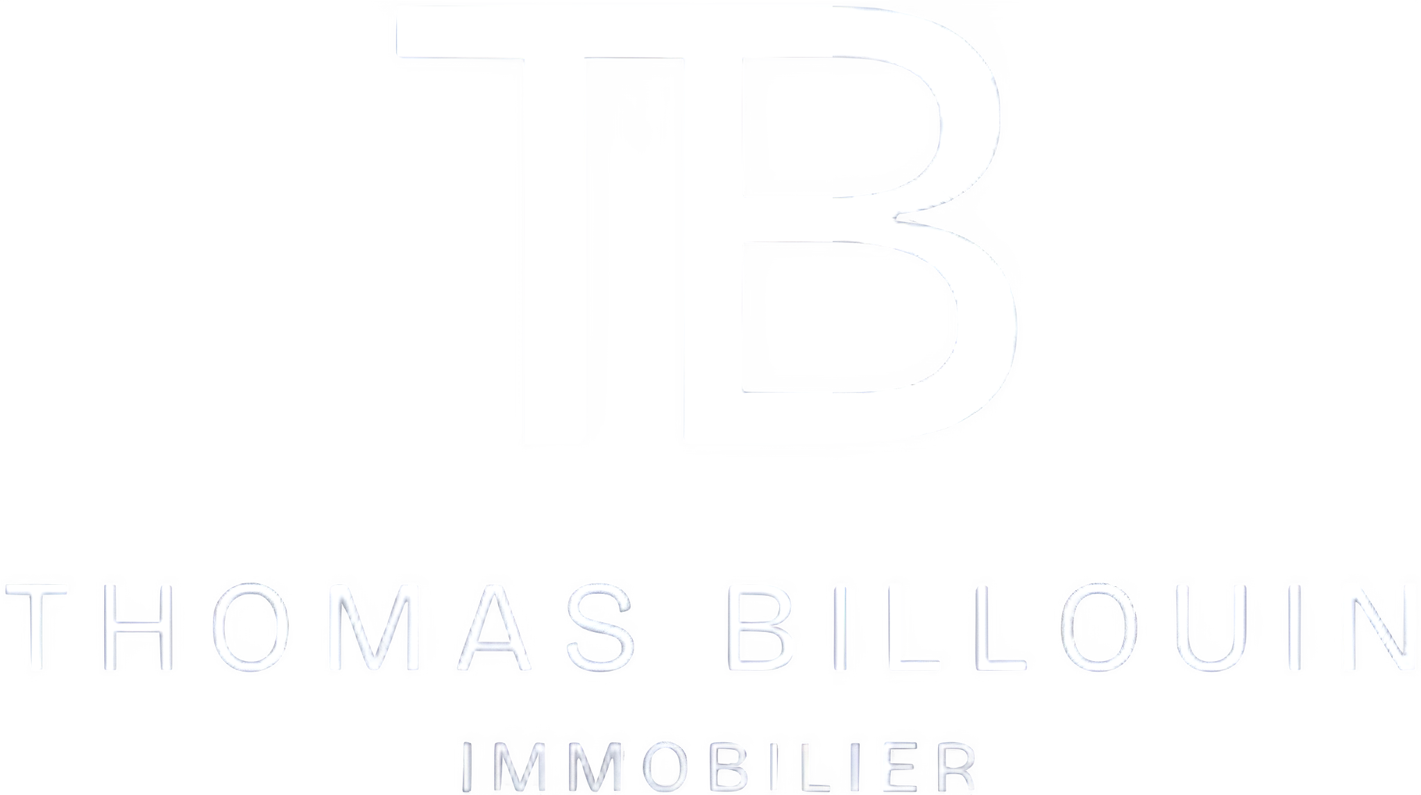 Thomas Billouin Immobilier